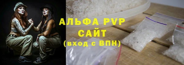 индика Рославль