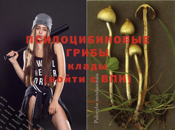 кокаин Алексин
