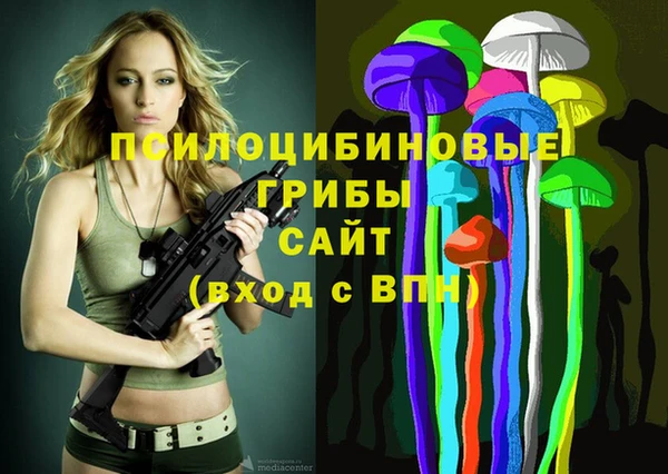 эйфоретик Алексеевка