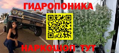 круглые Дубна