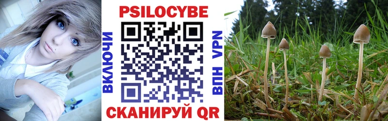 Галлюциногенные грибы мицелий Мыски