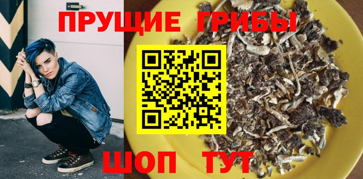 Псилоцибиновые грибы Psilocybine cubensis  Вход с VPN  Мыски 
